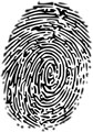 Accurate Background Check Ocala FL, Fingerprinting, Live Scan